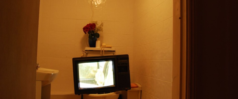 Toilet-960×400